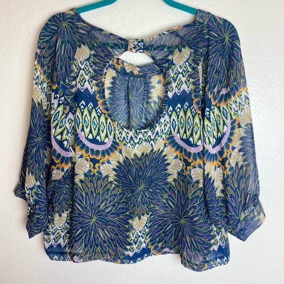 Multicolor Sheer Cropped Blouse with Open Back - Picture 3 of 3